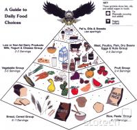  Piramida prehrane
