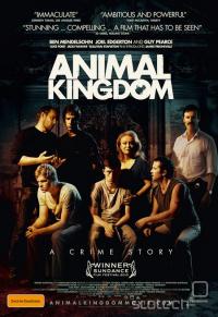  Animal Kingdom