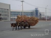 V ozadju najnovej&#353;a Intelova tovarna na Kitajskem, pred njo kitajski kmet
