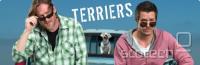  Terriers