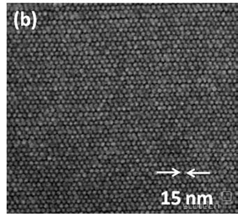 Posnetek zapisa z gostoto 3,3 terabita na kvadratni palec z elektronskim mikroskopom