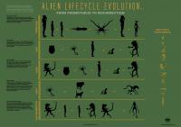  ALIEN lifecycle evolution